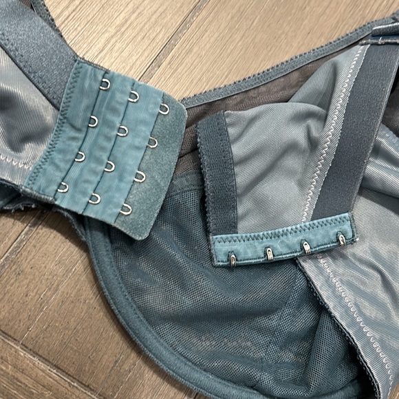 HSIA Dark Teal Lace Bra 42DDD - Picture 5 of 10